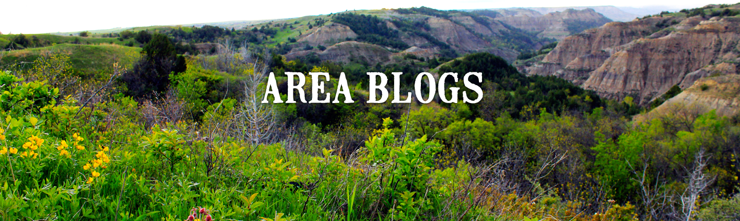 Area Blogs